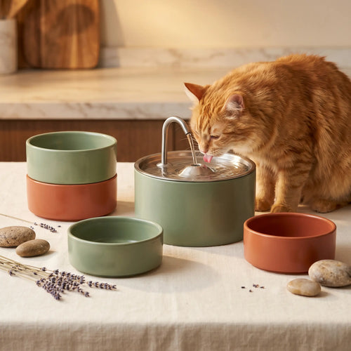 Bowls & Feeders