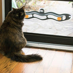 Wall Mounted Cat Toy | Interactive Track Ball Toy for Indoor Cats | Window & Wall Mount