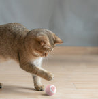 Automatic Cat Ball Toy | Self-Rolling Rechargeable Interactive Ball for Cats | Blue & Pink