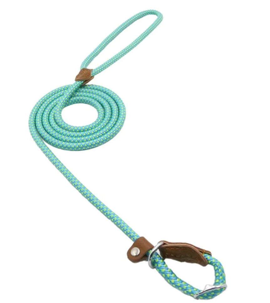 Premium Braided Rope Leash & Adjustable Collar Set