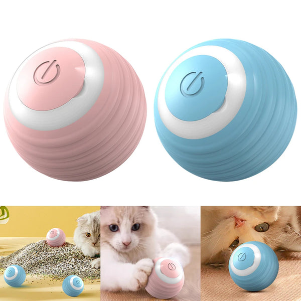 Automatic Cat Ball Toy | Self-Rolling Rechargeable Interactive Ball for Cats | Blue & Pink