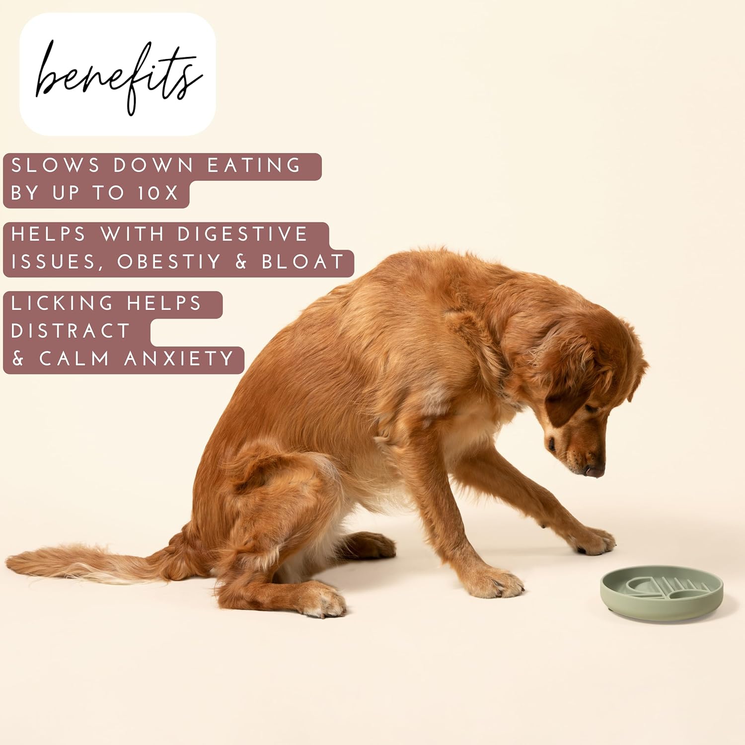 Aesthetic Slow Feeder Dog Bowl | Minimalist Anti-Bloat Bowl for Dogs & Cats | 3 Colours