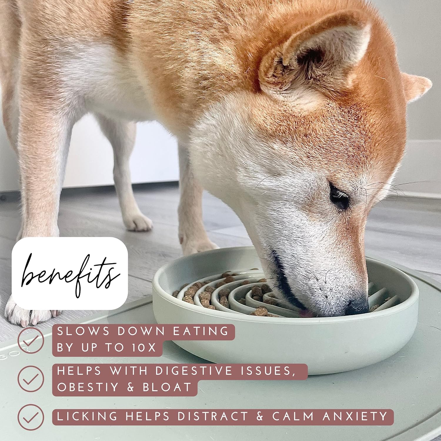 Aesthetic Slow Feeder Dog Bowl | Minimalist Anti-Bloat Bowl for Dogs & Cats | 3 Colours