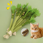 Chew Toys for Cats – Catnip Molar Stick with Bell for Teeth Cleaning