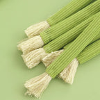 Chew Toys for Cats – Catnip Molar Stick with Bell for Teeth Cleaning