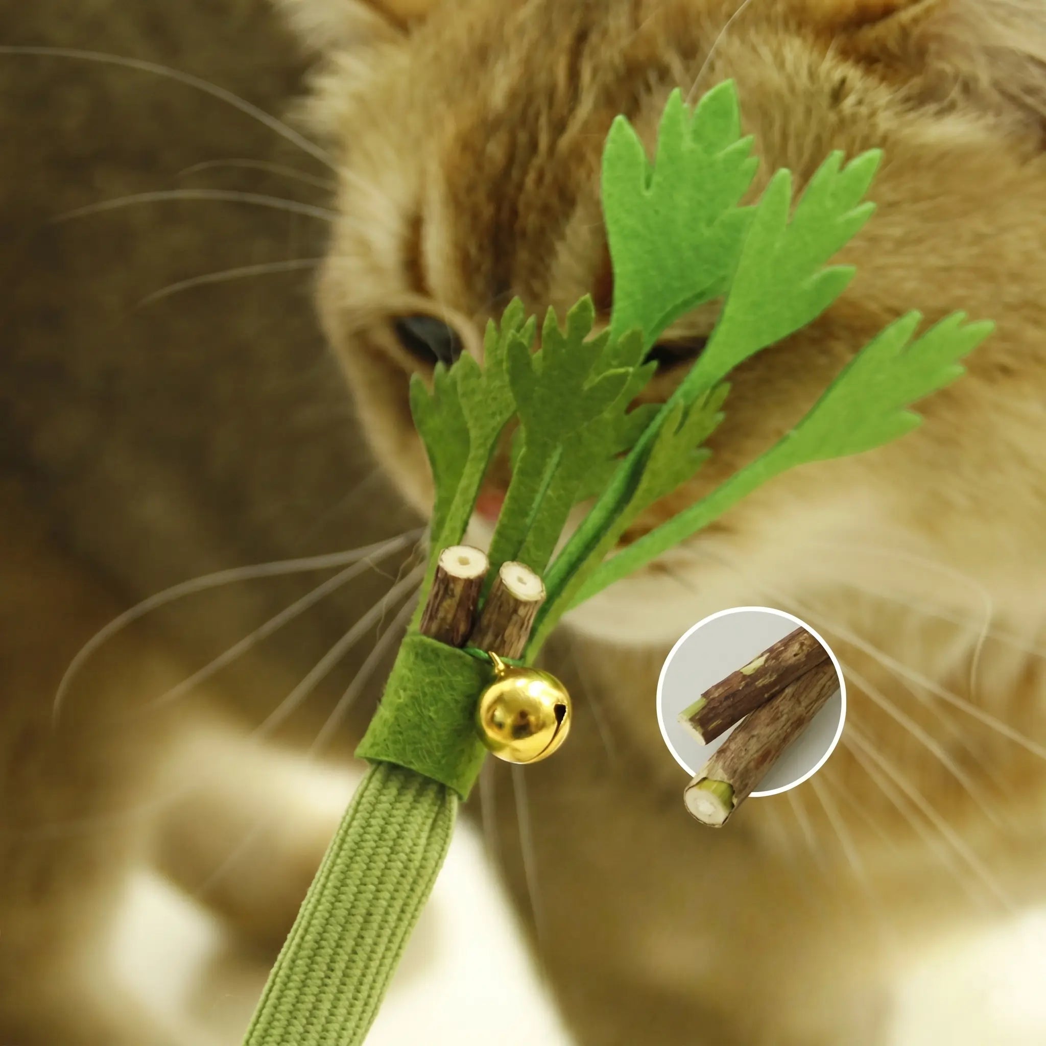 Chew Toys for Cats – Catnip Molar Stick with Bell for Teeth Cleaning