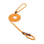 Premium Braided Rope Leash & Adjustable Collar Set