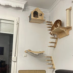 Wall Mounted Cat Climbing Shelves – Solid Wood Cat Wall Perch System with Steps, Hammock Bed & Sisal Scratch Areas