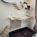 Wall Mounted Cat Climbing Shelves – Solid Wood Cat Wall Perch System with Steps, Hammock Bed & Sisal Scratch Areas