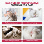 Cat Recovery Suit After Surgery – Breathable Post-Op Onesie for Cats | Spay & Neuter Wound Protection