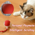 Rechargeable Smart Rolling Cat Ball With Fluffy Tail (Interactive Chase Toy)