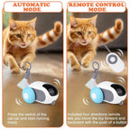 Interactive RC Cat Toy Car — Feather Tail, Smart Auto Mode & Obstacle Avoidance
