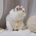 Cat clothes, warm lamb wool vest, autumn and winter teddy pomeranian pet winter clothes, cute korean clothes