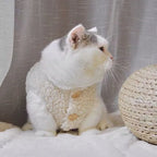 Cat clothes, warm lamb wool vest, autumn and winter teddy pomeranian pet winter clothes, cute korean clothes
