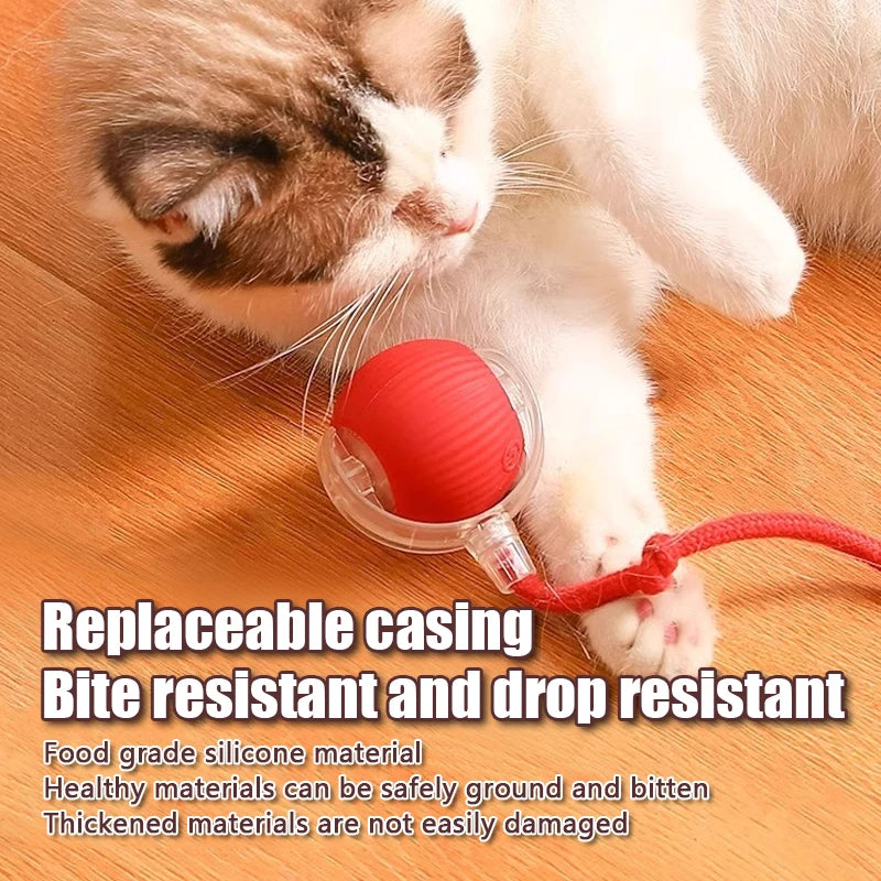 Rechargeable Smart Rolling Cat Ball with Fluffy Tail (Interactive Chase Toy)