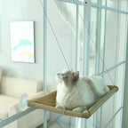 Cat window perch for sunbathing and bird watching