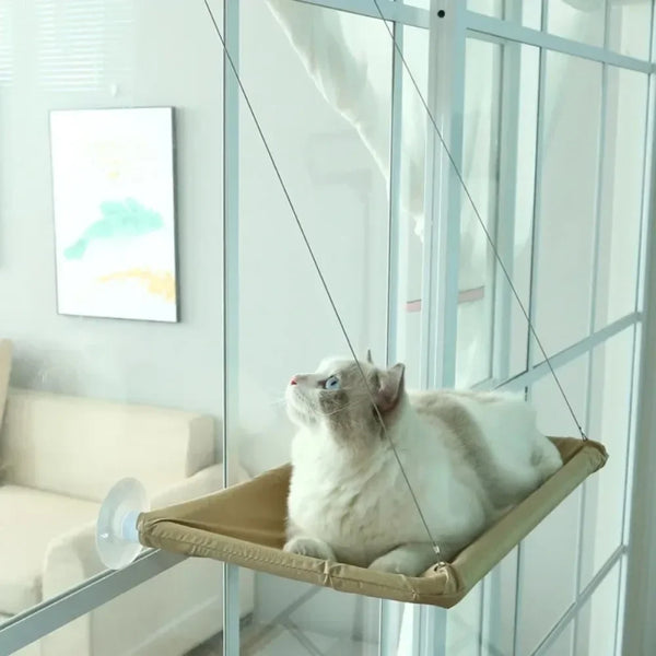Cat window perch for sunbathing and bird watching