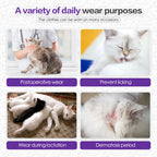 Cat Recovery Suit After Surgery | Soft Onesie for Spay, Neuter & Wound Protection