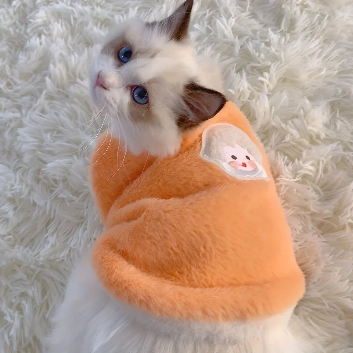 Fluffy Plush Cat Vest – Cute Embroidered Kitten Sweater for Fall & Winter | Cats & Small Dogs