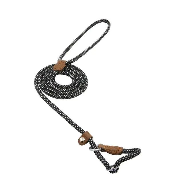 Premium Braided Rope Leash & Adjustable Collar Set