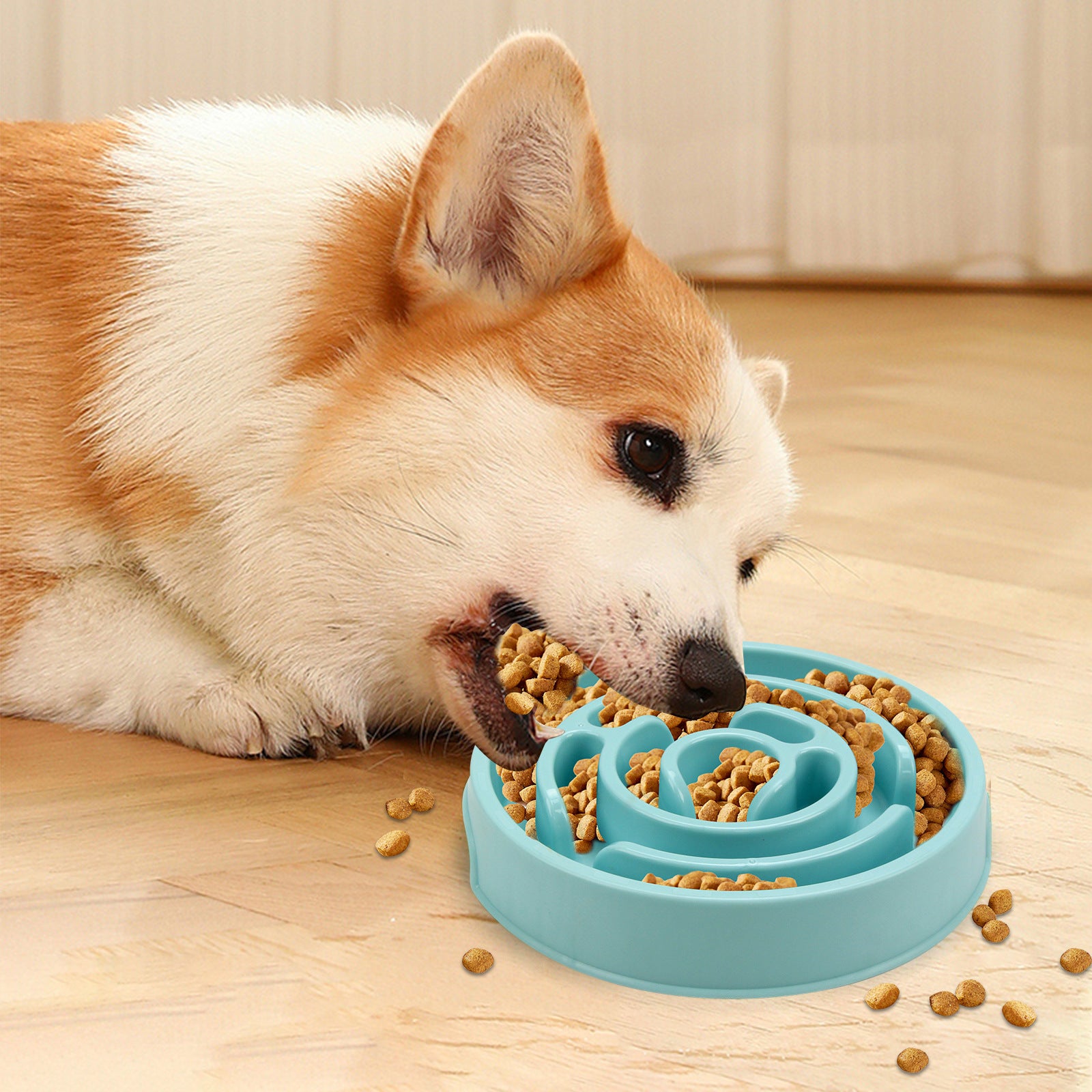 Slow Feeder Bowl for Dogs & Cats | Spiral Maze Anti-Bloat Bowl | Small & Medium Pets