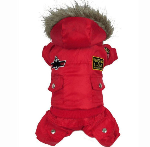 Aviator Pup: Stylish Four-Legged Cold Weather Coat