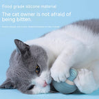 Automatic Cat Ball Toy | Self-Rolling Rechargeable Interactive Ball for Cats | Blue & Pink