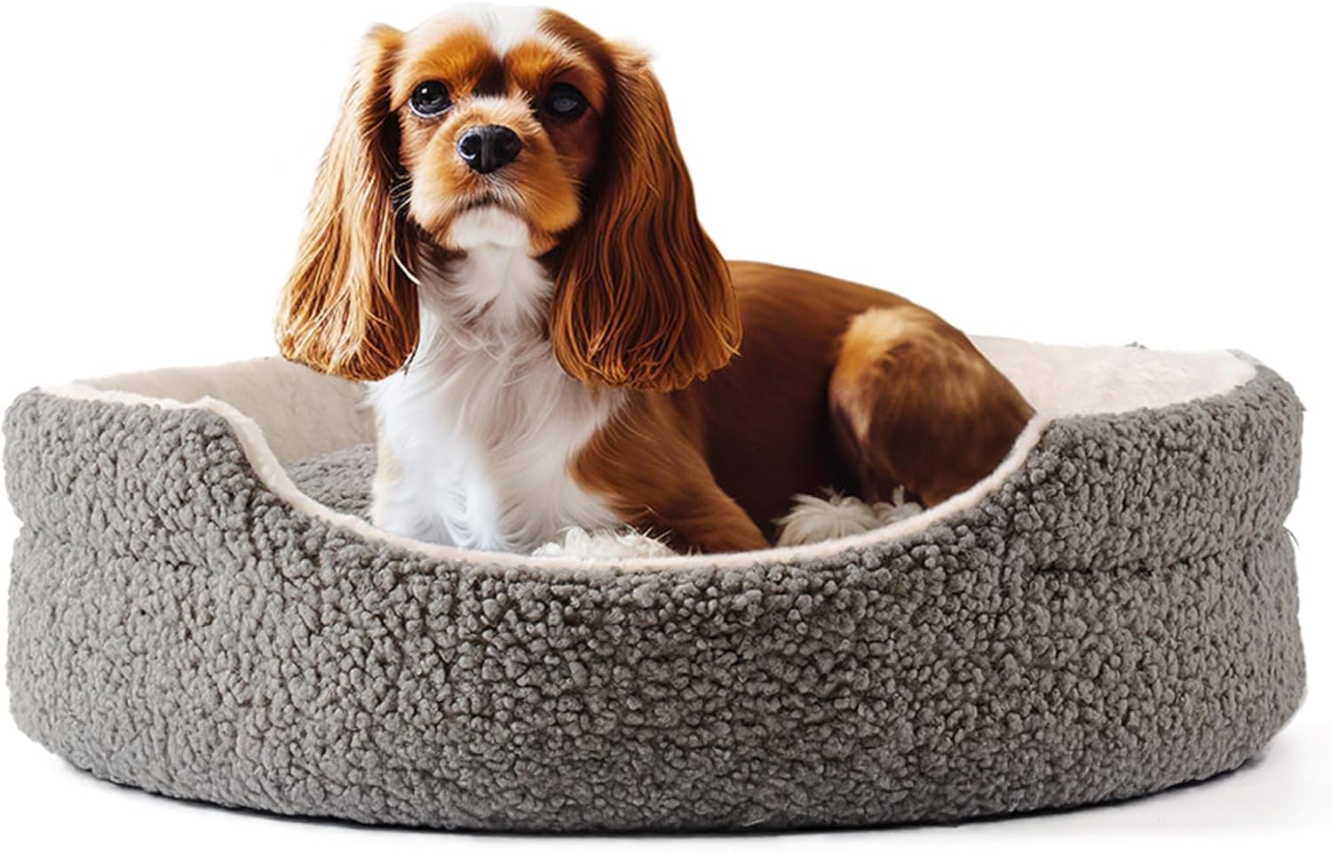 Cloud Comfort: Washable Plush Orthopedic Bed for Small Pets