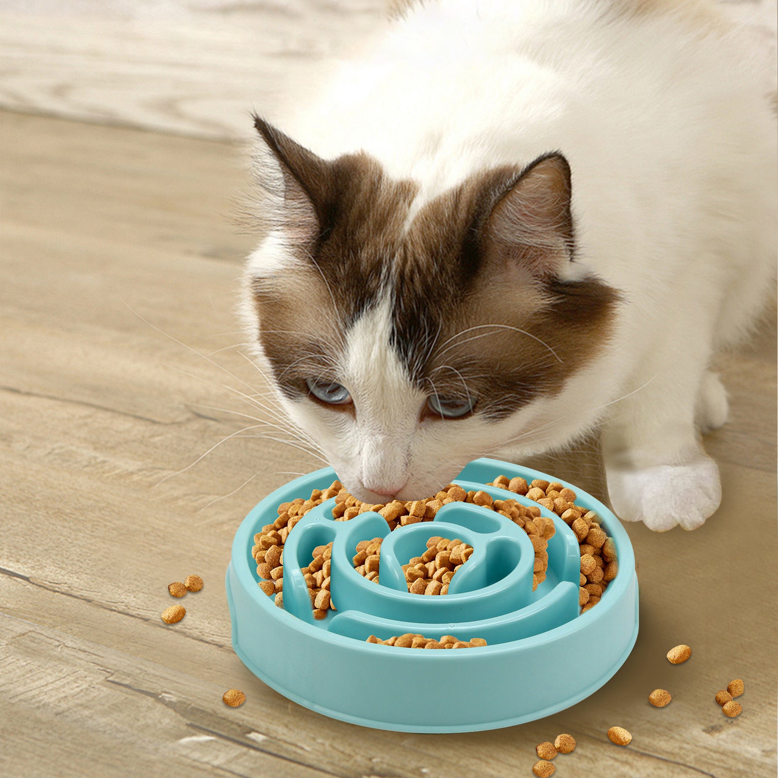 Slow Feeder Bowl for Dogs & Cats | Spiral Maze Anti-Bloat Bowl | Small & Medium Pets
