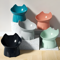 Cat-Shaped Elevated Food Bowl — Tilted Design for Neck & Whisker Comfort