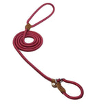 Premium Braided Rope Leash & Adjustable Collar Set