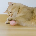 Automatic Cat Ball Toy | Self-Rolling Rechargeable Interactive Ball for Cats | Blue & Pink