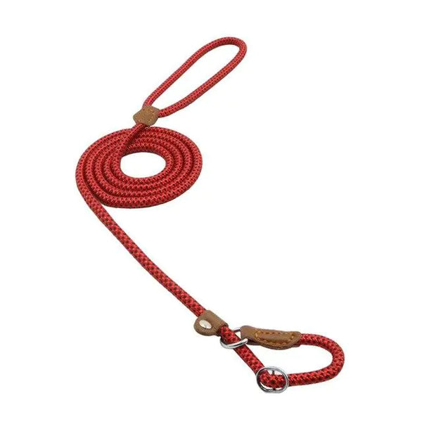 Premium Braided Rope Leash & Adjustable Collar Set
