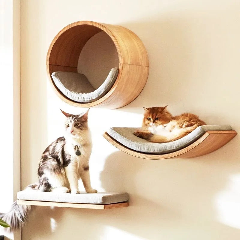 Wall mounted cat shelves in solid wood with steps and hammock bed