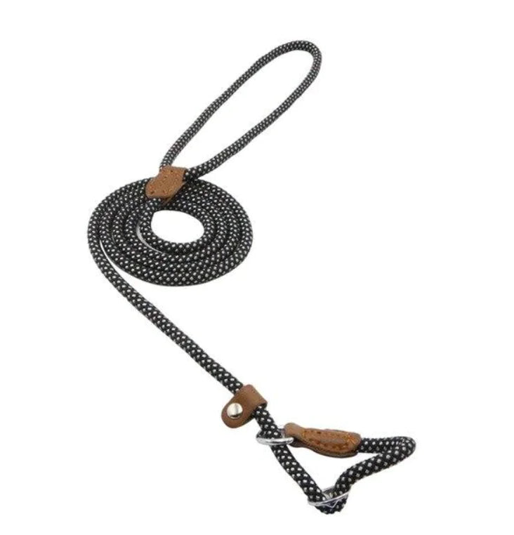 Premium Braided Rope Leash & Adjustable Collar Set